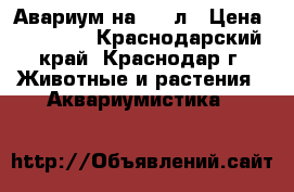 Авариум на 450 л › Цена ­ 20 000 - Краснодарский край, Краснодар г. Животные и растения » Аквариумистика   
